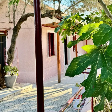 Nyaraló Gradakia 2
