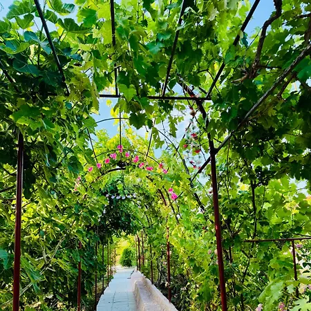 Gradakia 2 Casa de Férias Argostoli (Kefalonia)